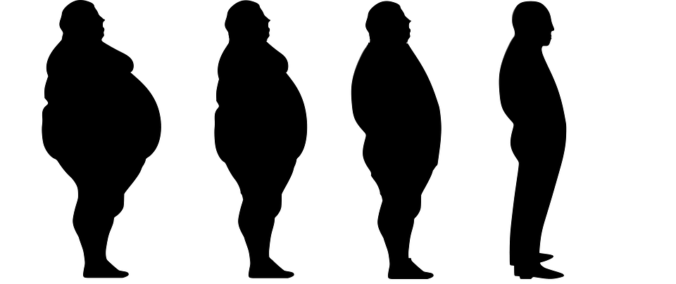 συμπληρώματα πρωτεΐνης απώλεια βάρους